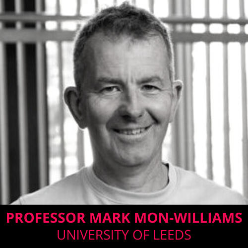 Mark Mon-Williams